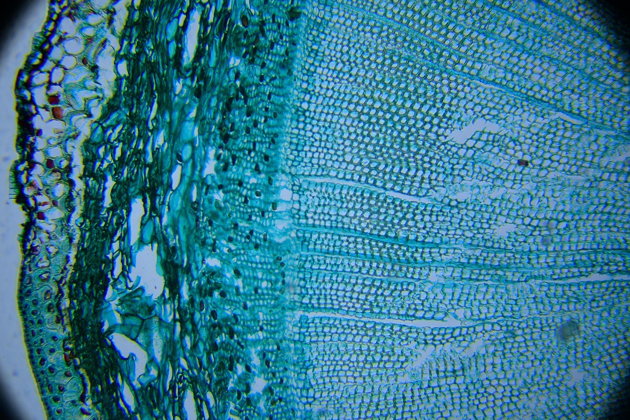 A young person with curly hair smiles at the camera while sitting in front of a laptop against a dark background.