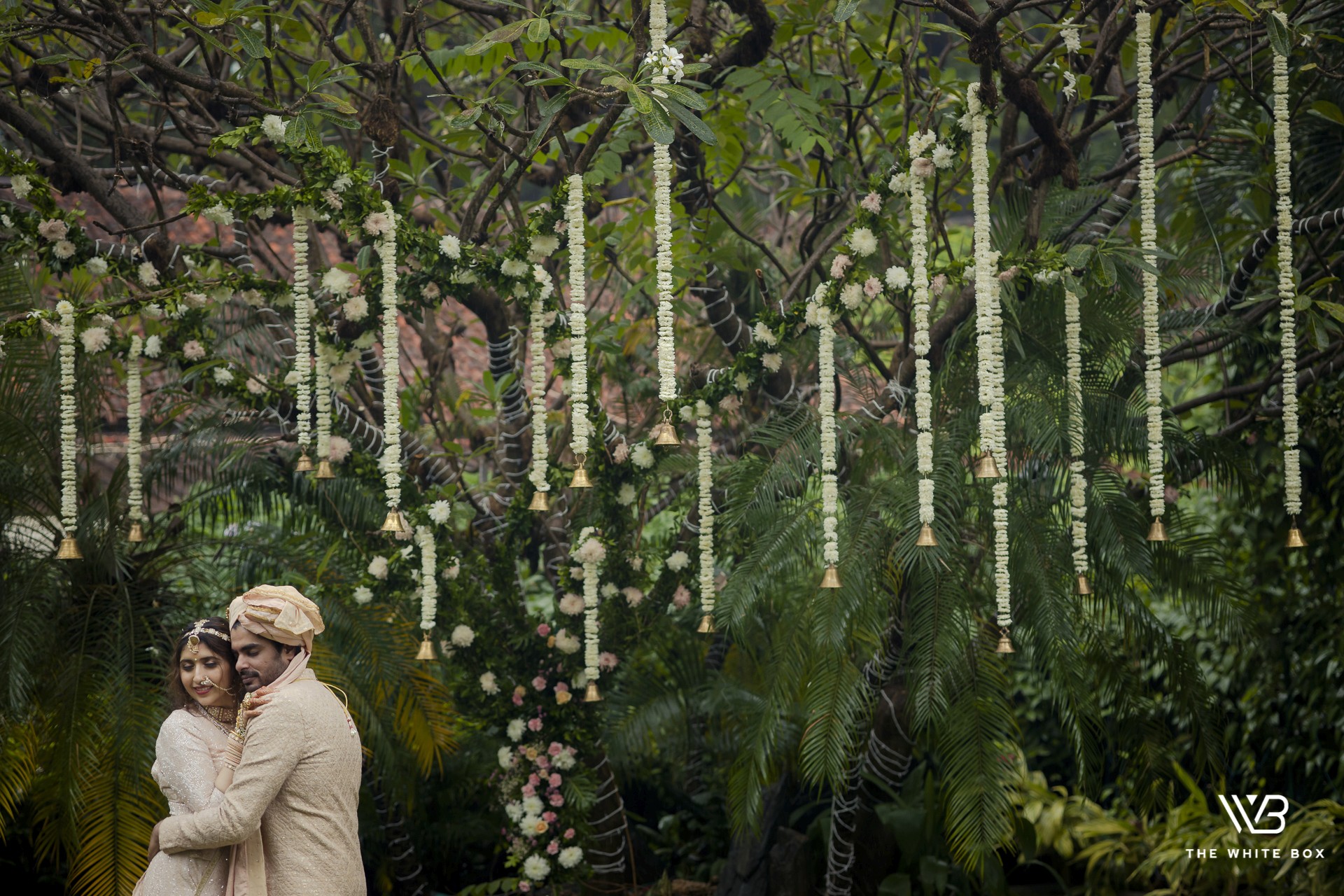 Servcies background image