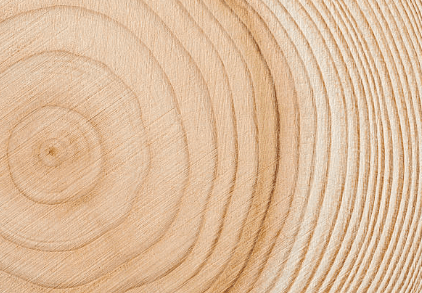 Close-up of timber grain used in heavy-duty timber crates for durable industrial packaging and global transport