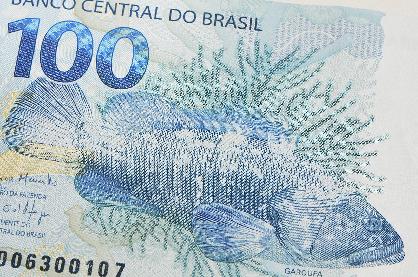 Brazilian Reais