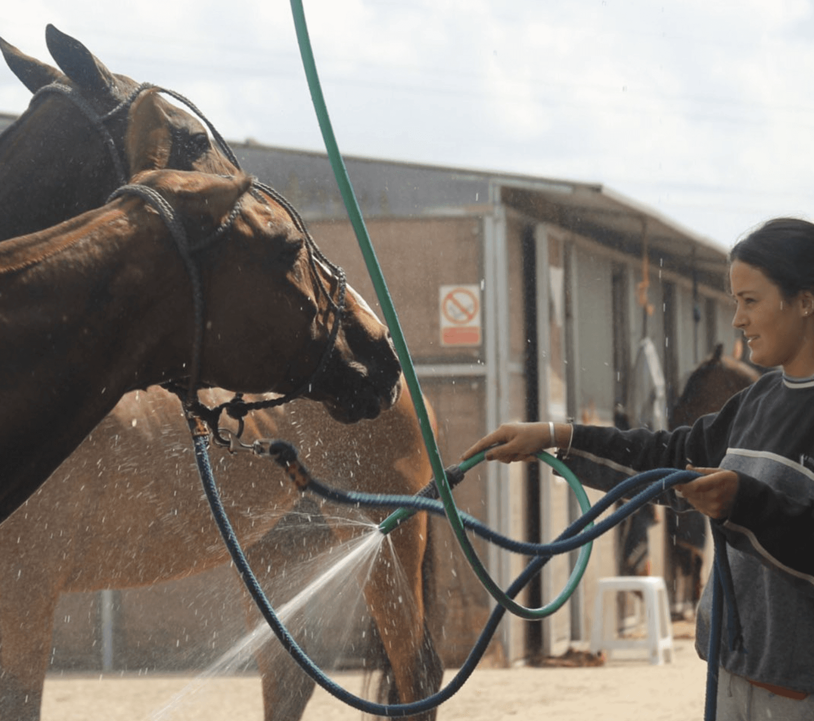 Image Representing the service