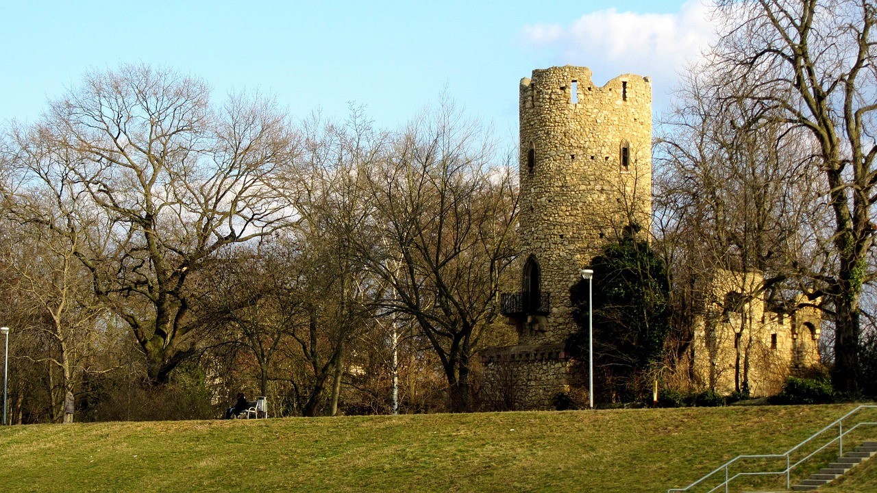 baumpflege Rüsselsheim 