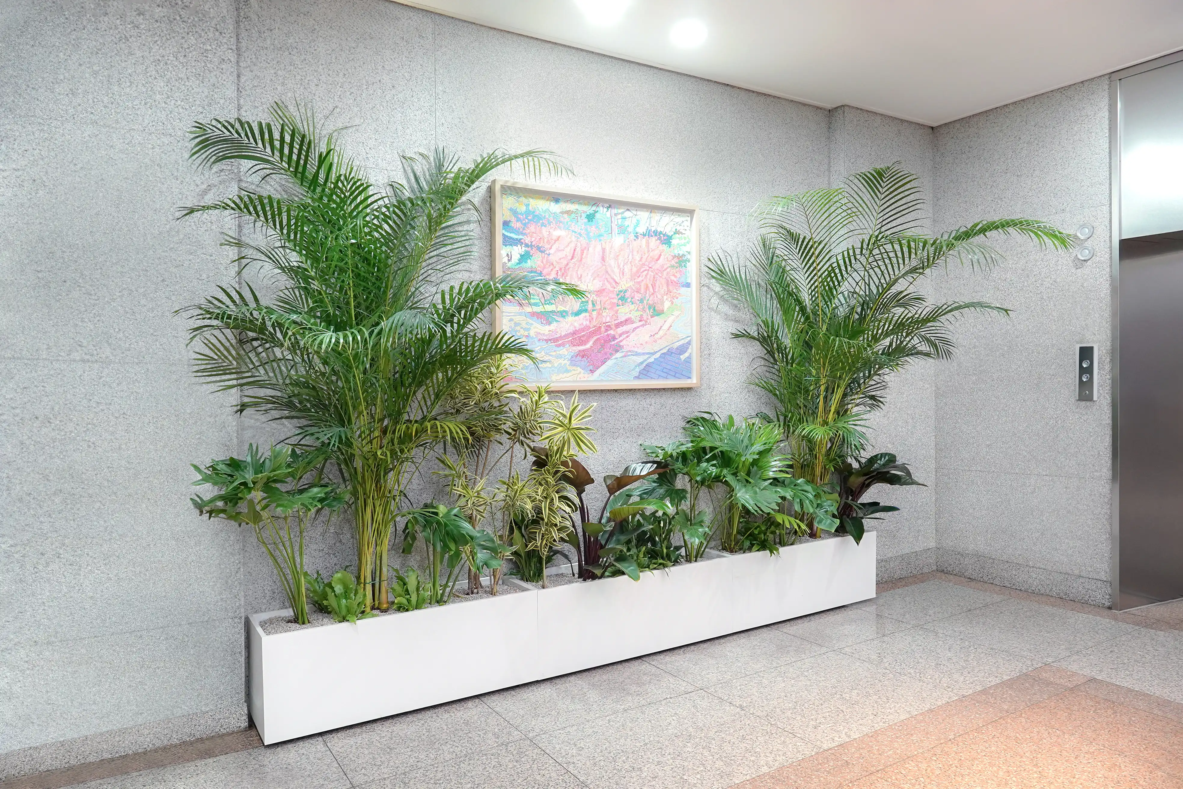 대형병원 엘리베이터 홀에 설치된 플랜트박스 정원