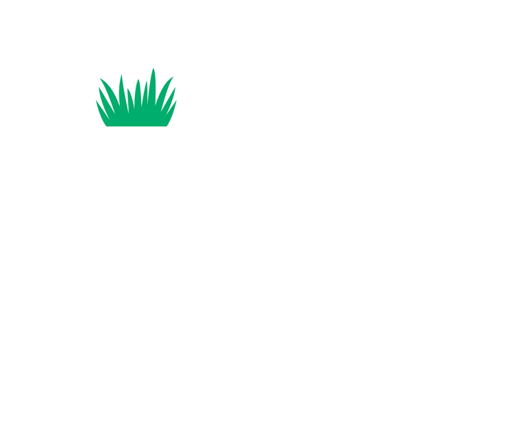DLF Seeds brand developmet animation