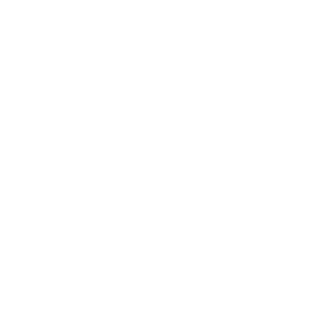 Wall Street Journal news publisher logo