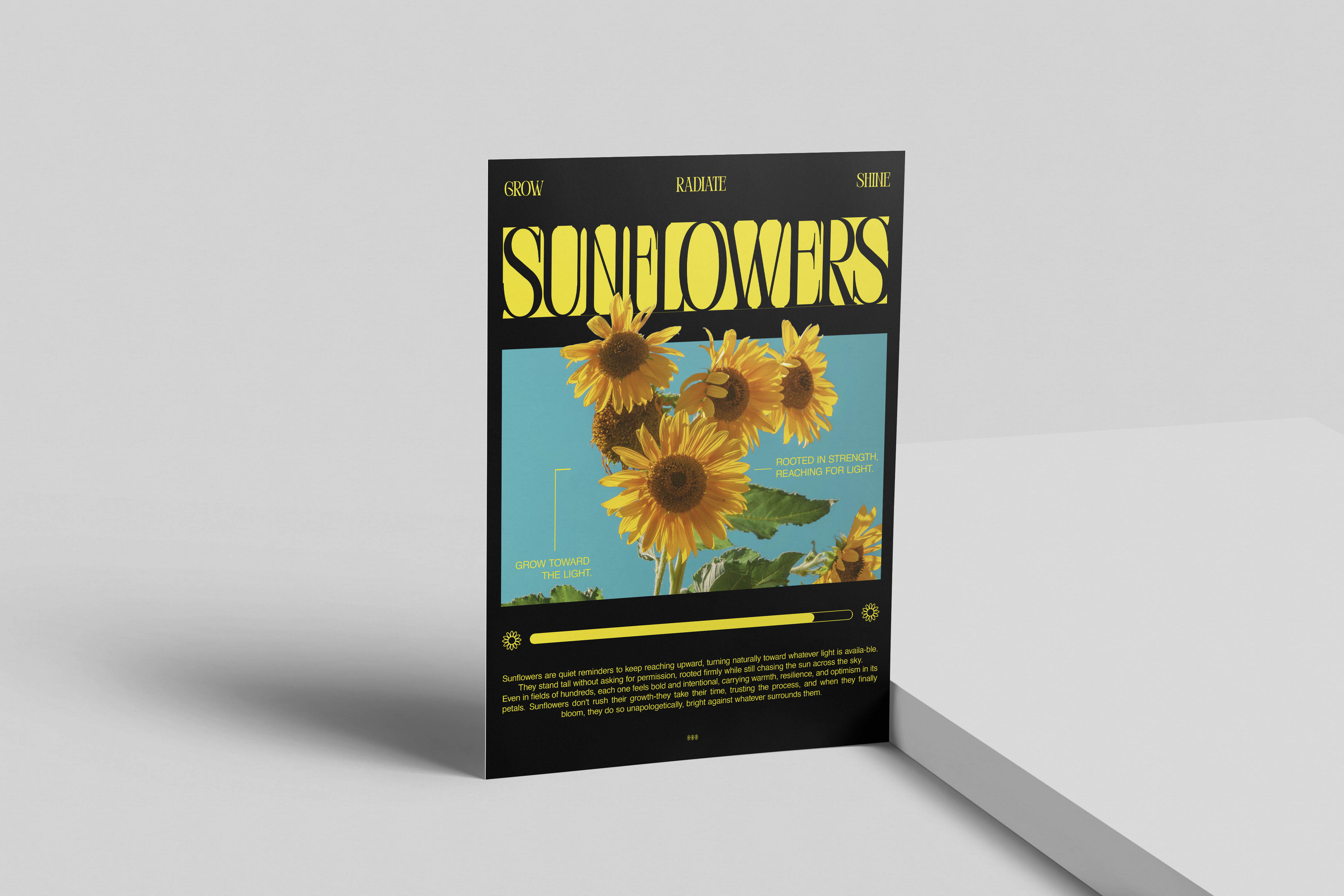 Project Gallery Image for 50% width of the screen #2