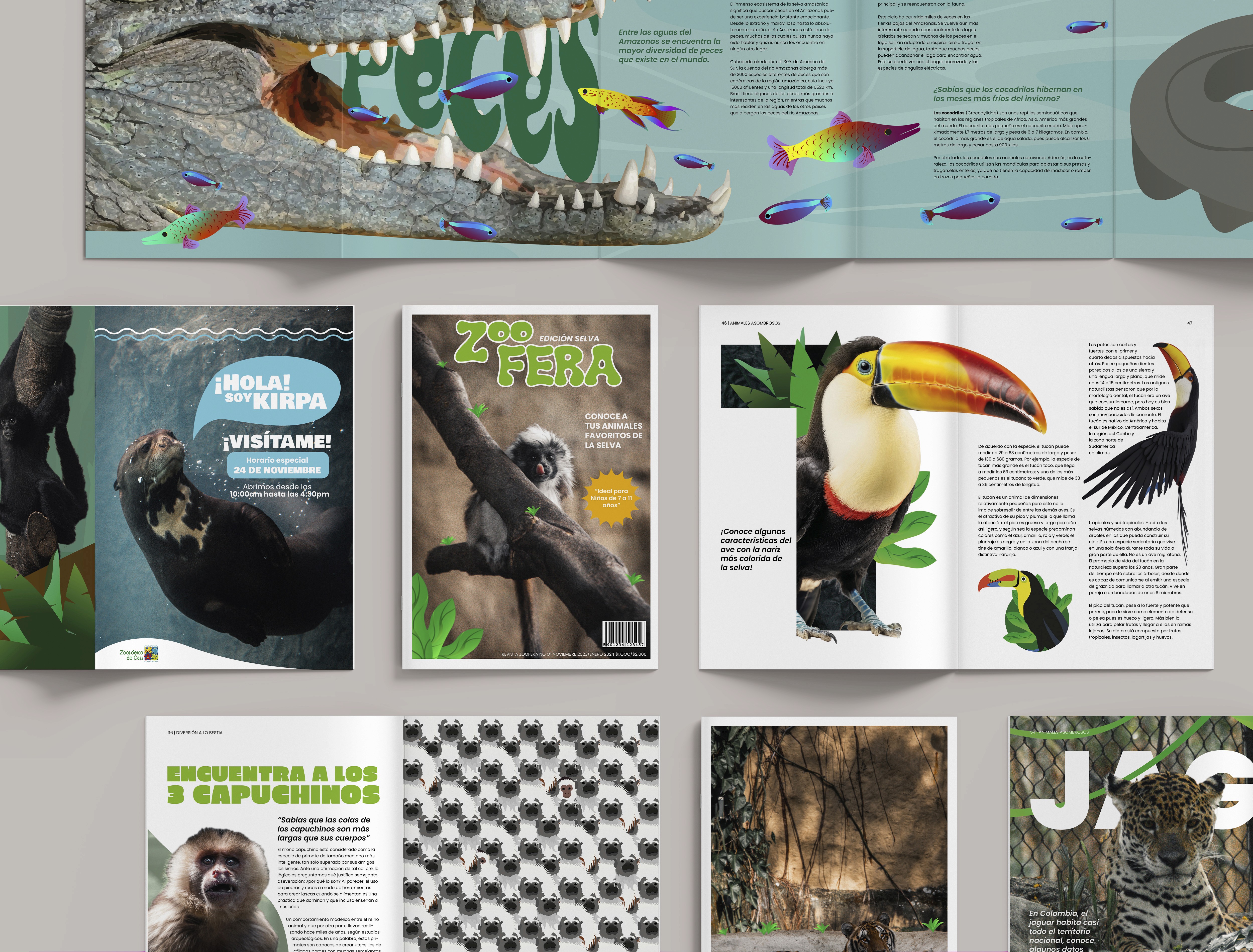 Portfolio project image