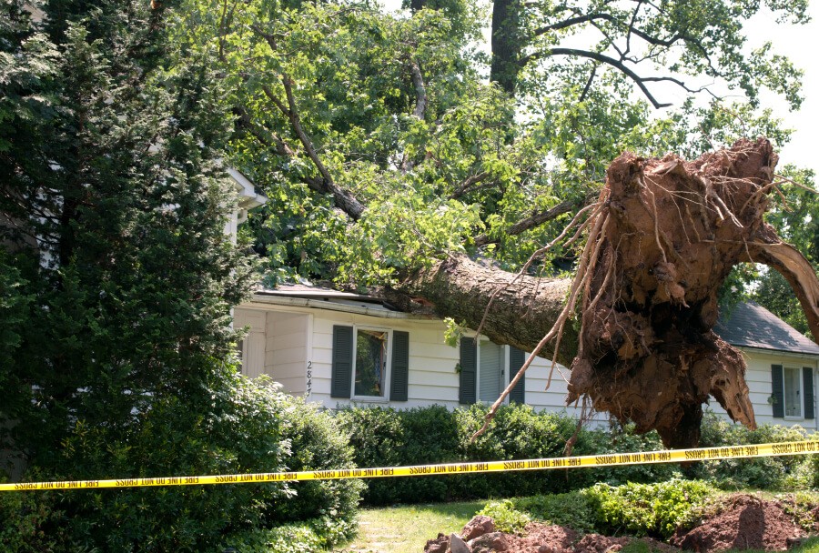 Storms and fallen trees can cause major damage to your home. Silver Southern provides fast emergency response and lasting storm repair services for homeowners across Metro Atlanta.