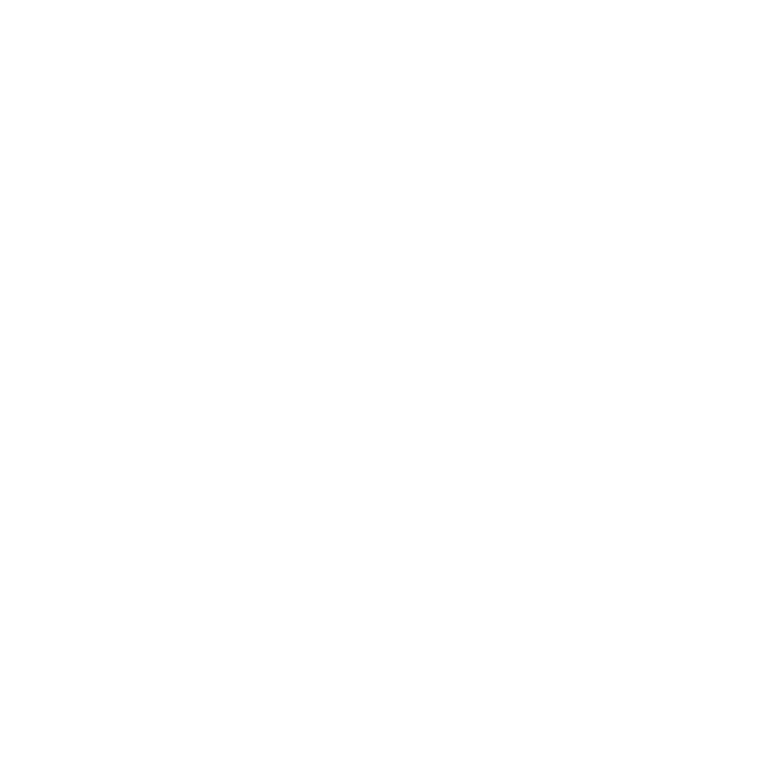 xAI/GROK 2 Vision Model