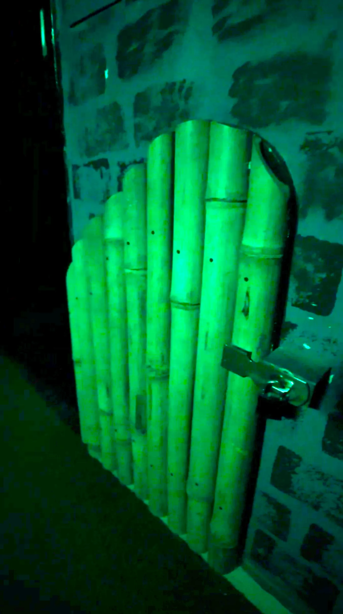 Escape room players navigating jungle-themed clues in the adventurous Lost in an Island experience