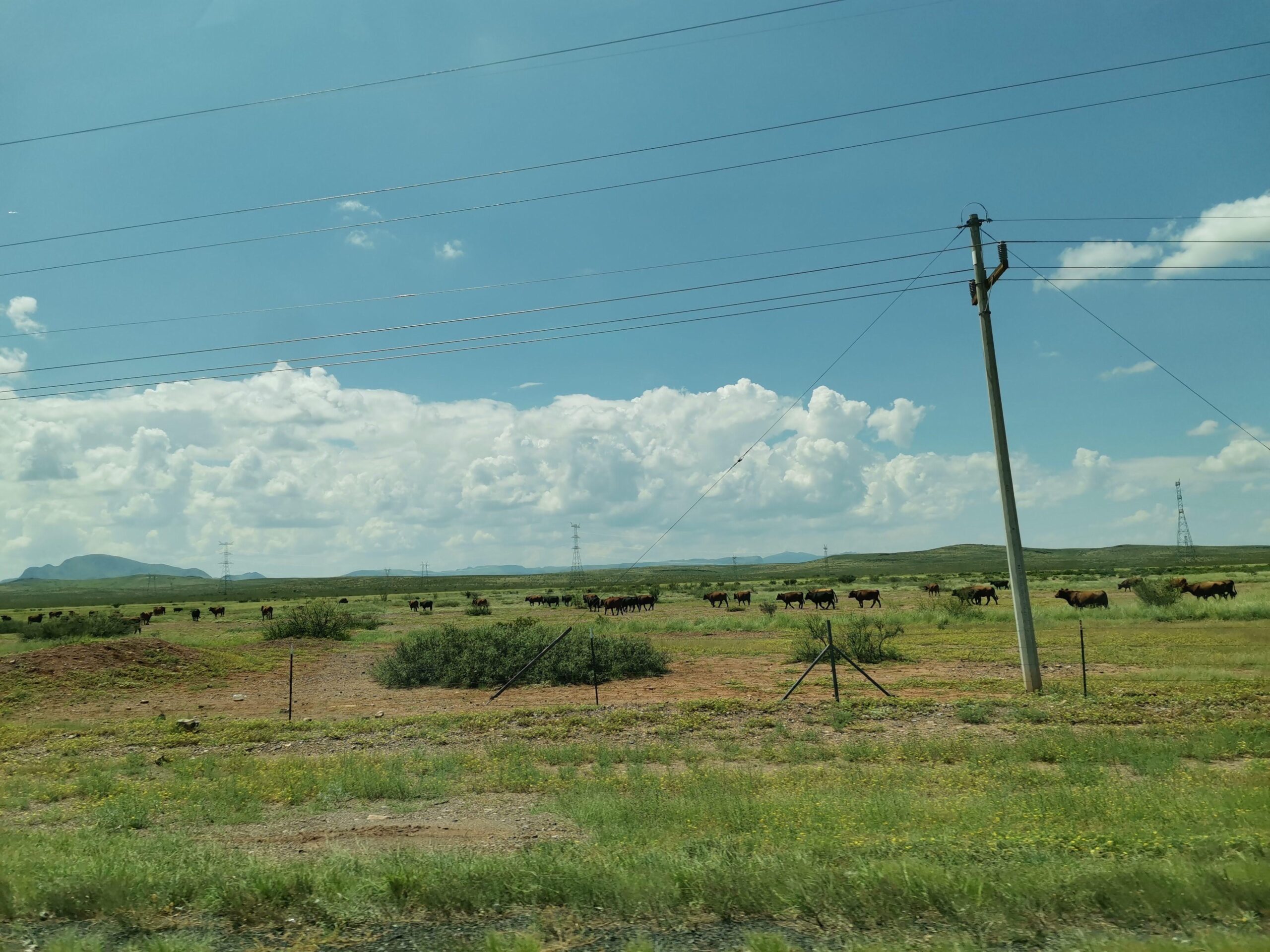 Dynamic Basketball Leap