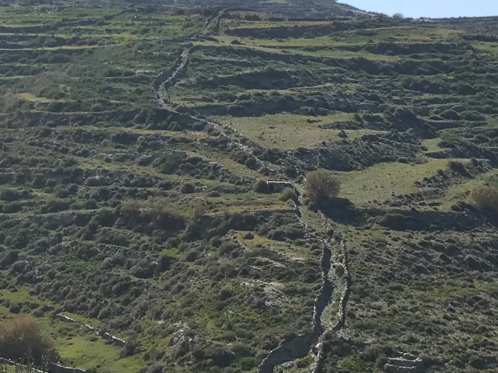 Detalle del paisaje de Refugios Minotauro con vegetación local de isla griega