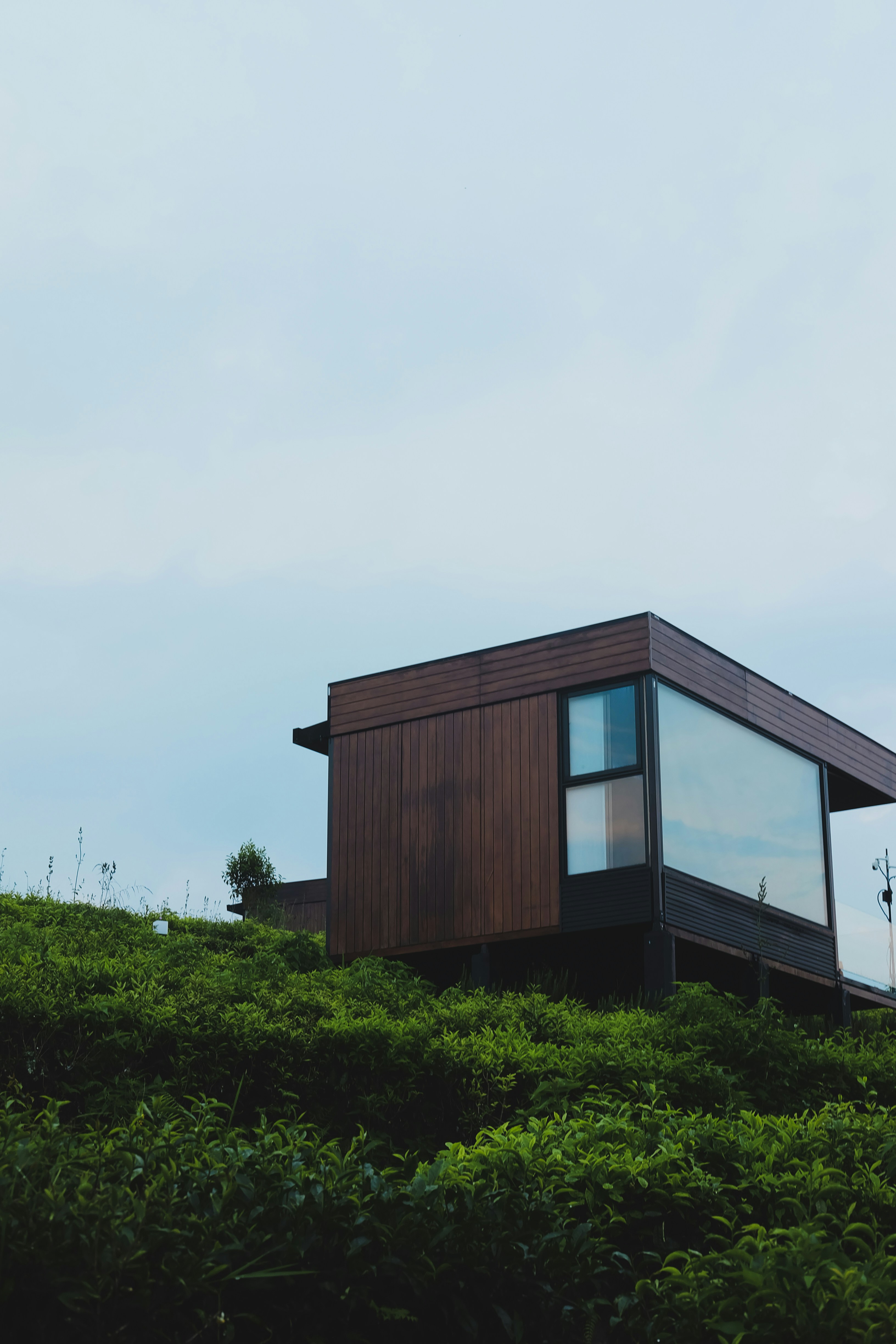 Modern cabin nestled on a green hillside.