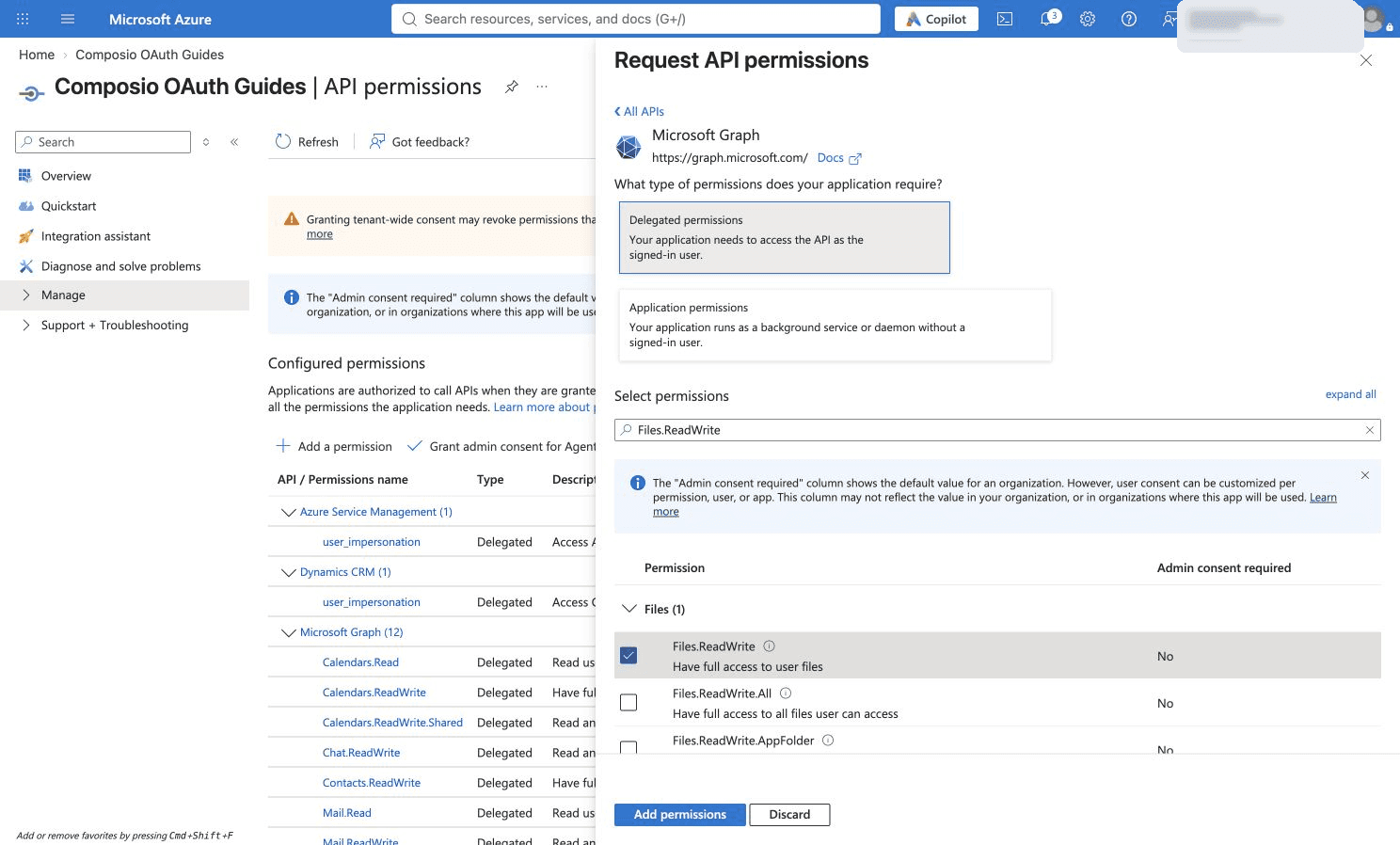 Selected Files.ReadWrite delegated permission