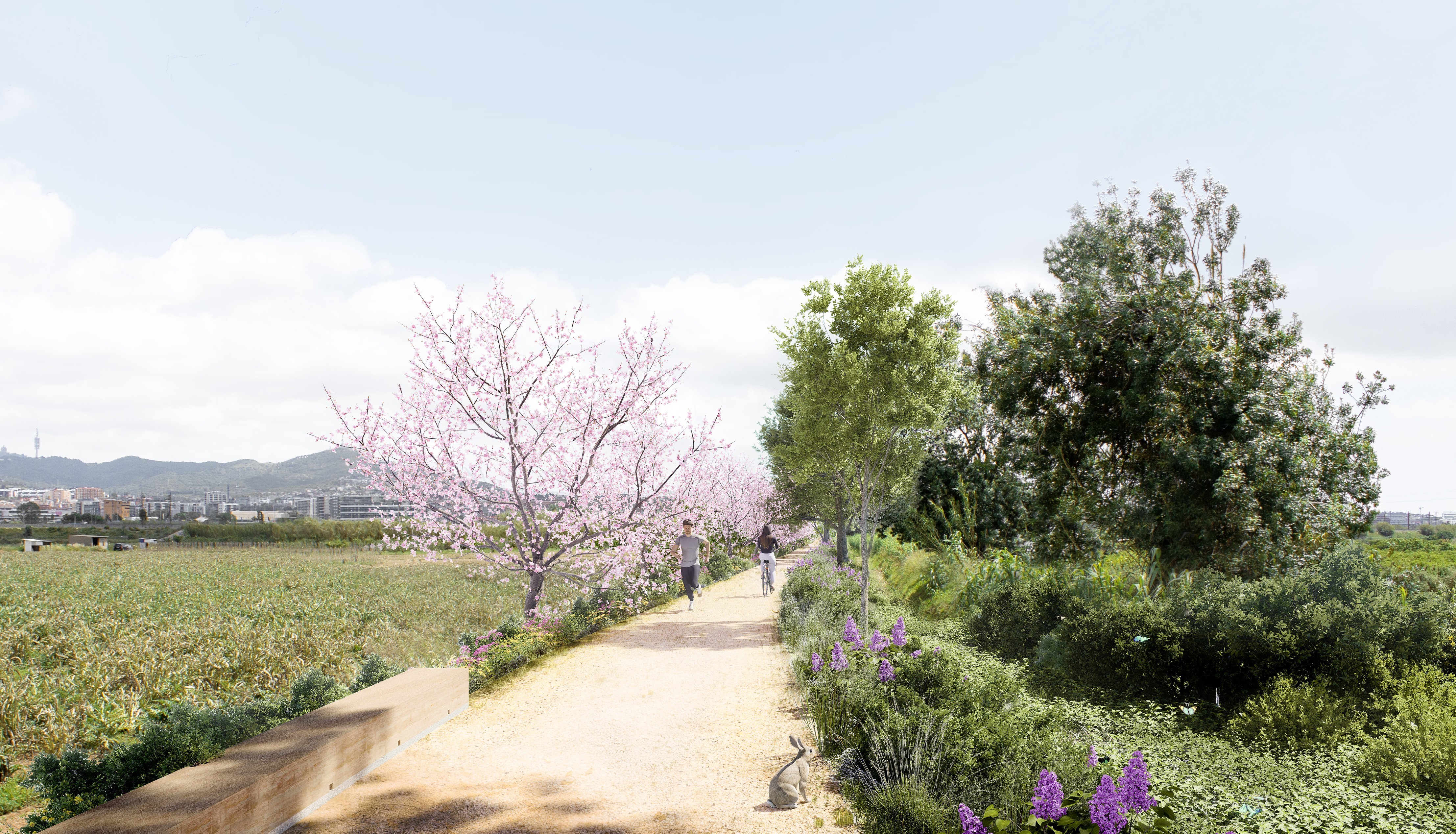 Infografía mejora ecosistémica riera Can Julià