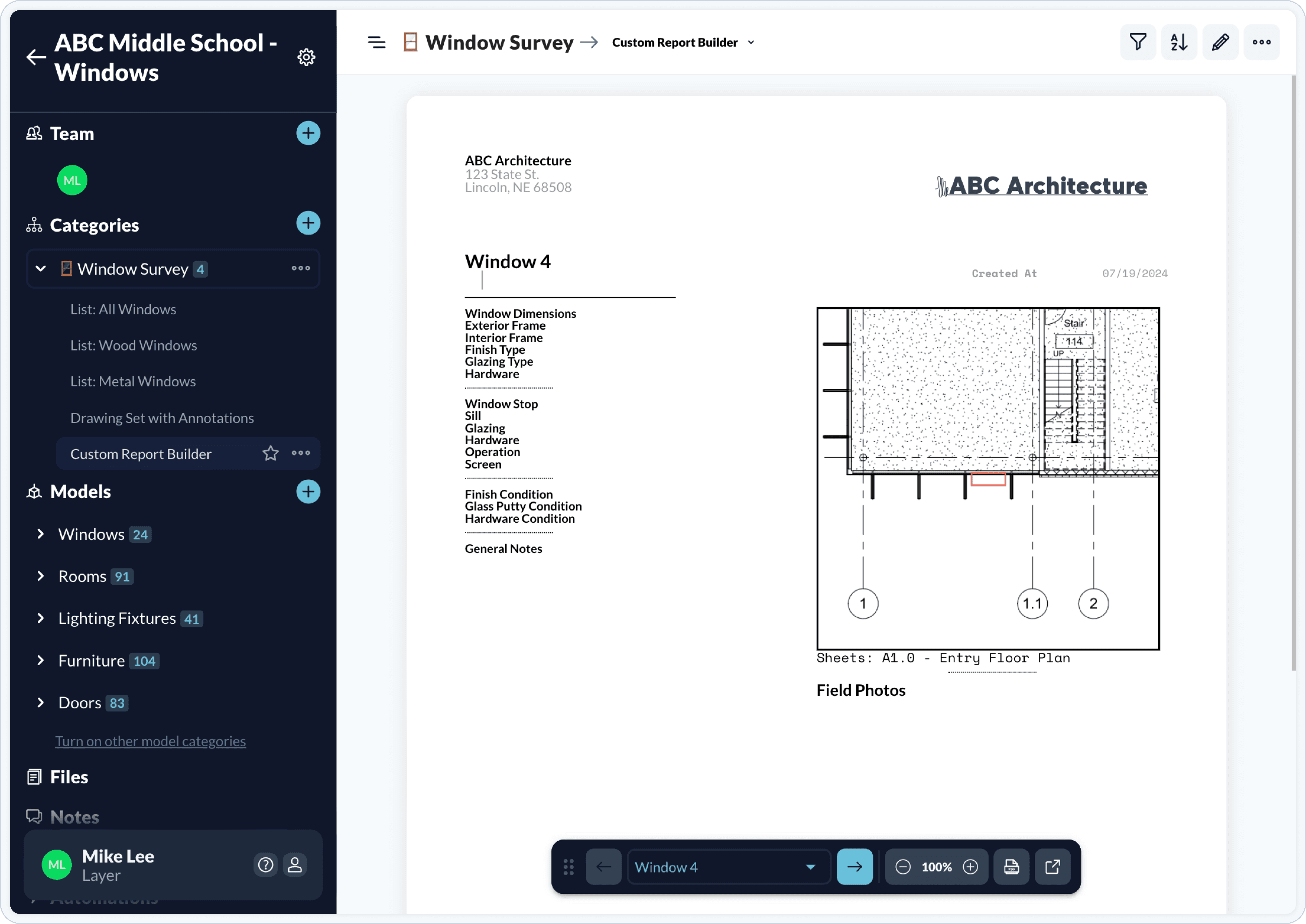 layer window survey document view