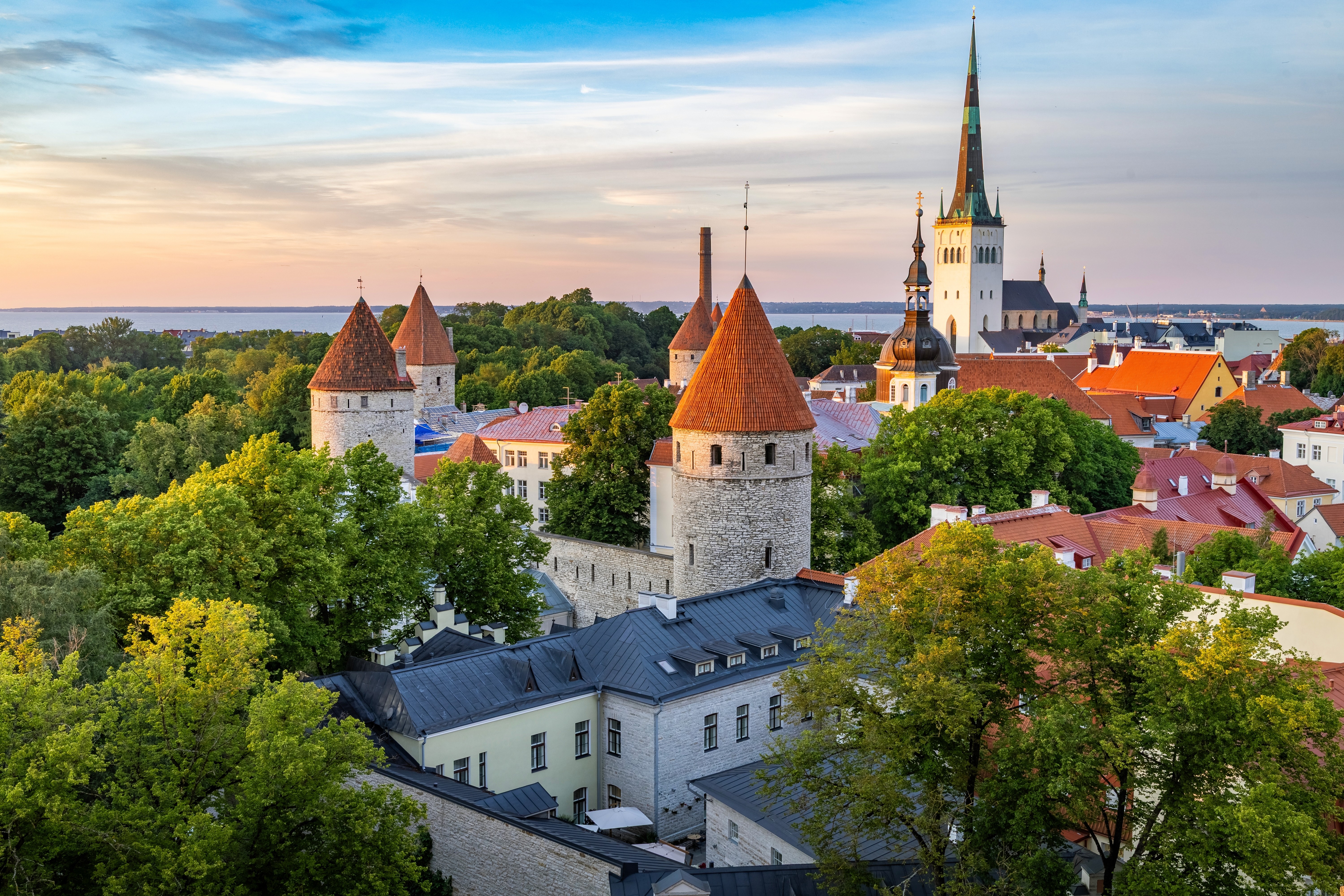 Skyline view of Tallinn's Old Town, with red-tiled roofs and leafy treetops, and a body of water visible in the distance.