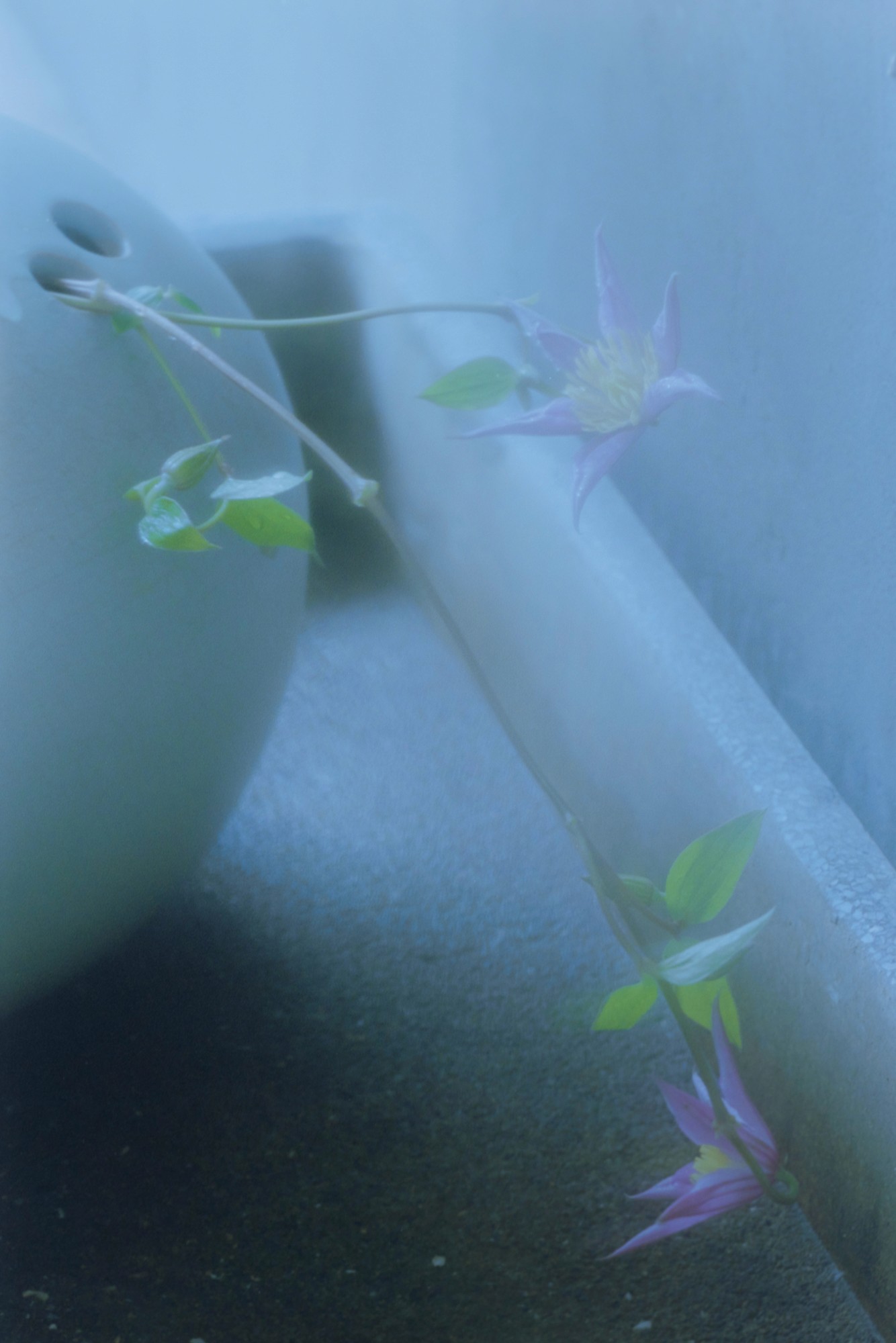 Taisei Matsumoto, 2023 exhibition work 024
