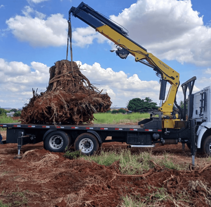 Remoção com Caminhão Munck de Raízes