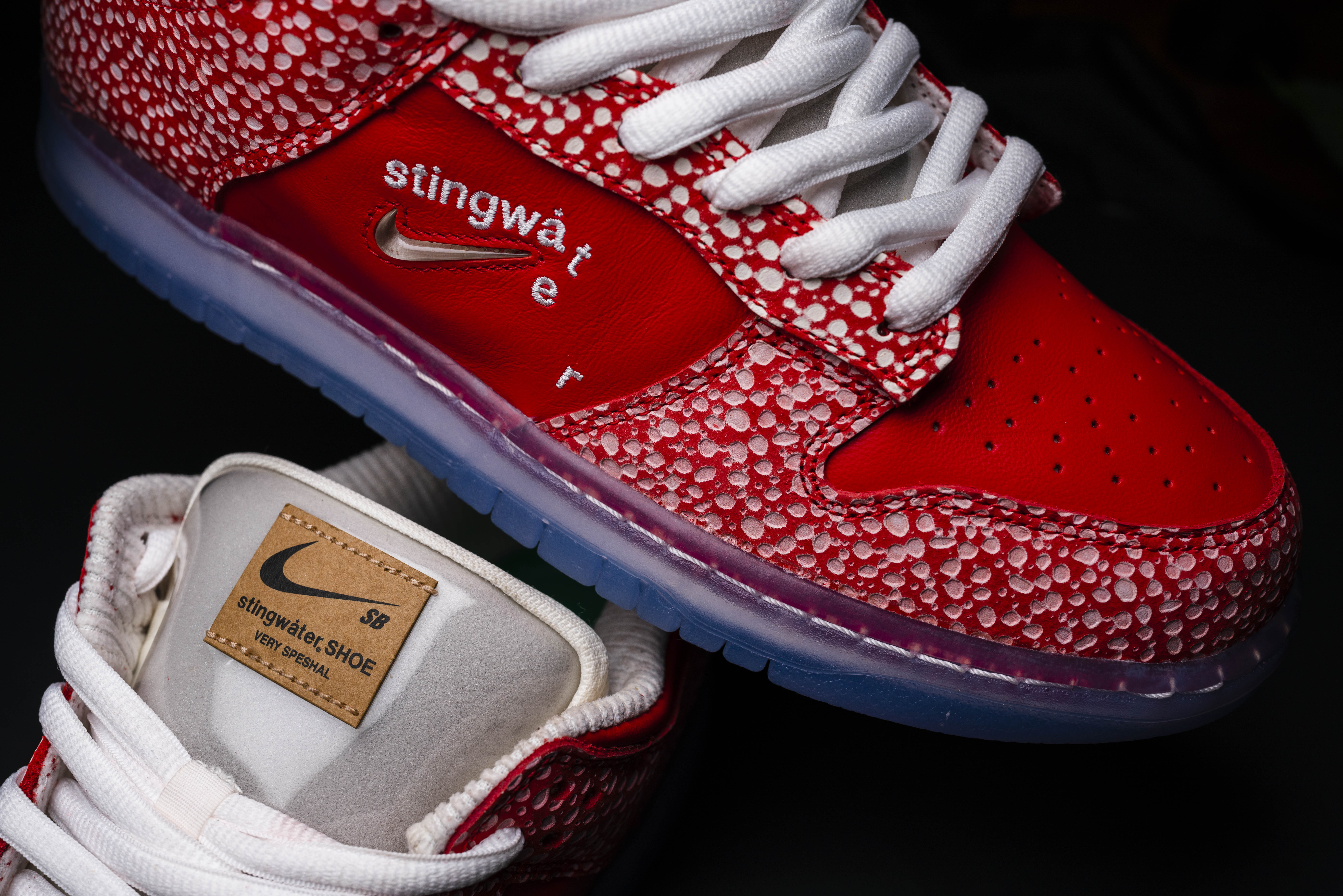 Nike SB Stingwater Dunk Close Up Shot