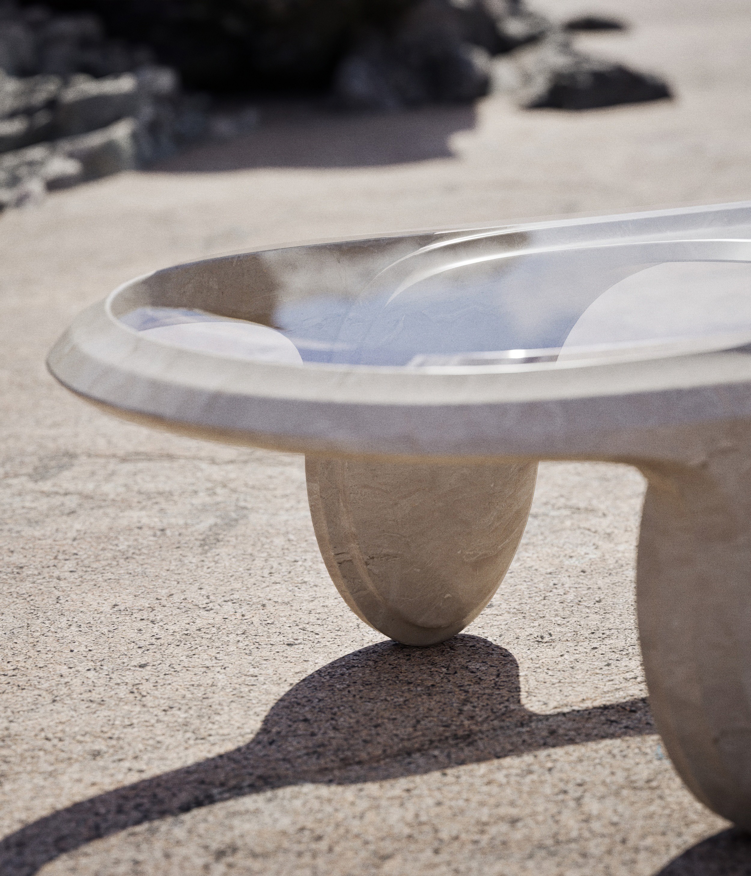 arya-safavi-comma-table-beach-photoshoot