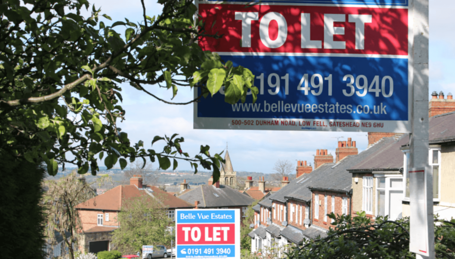 modern sculptural building with curved wooden exterior
