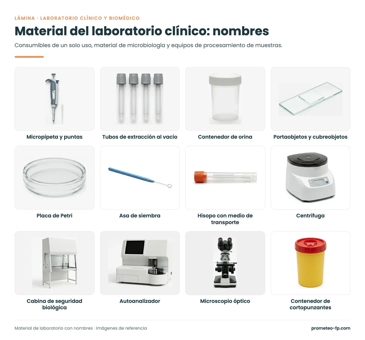 Material del laboratorio clínico con nombres: micropipeta, tubos de extracción, centrífuga y cabina de seguridad biológica