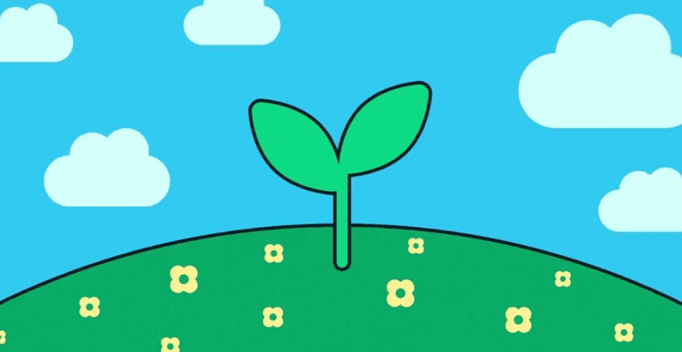 a plant growing in a field