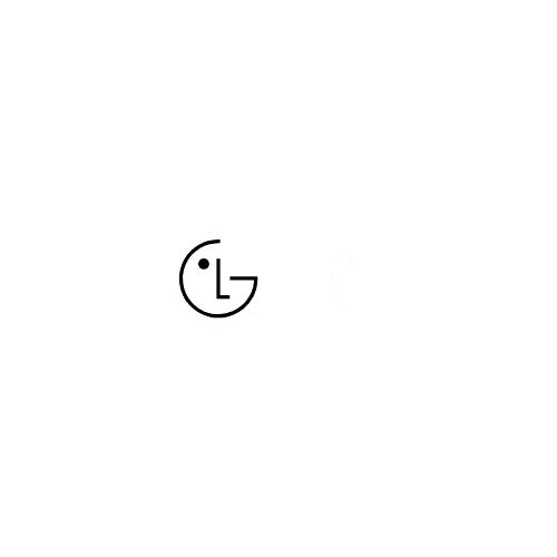 Logo Design Project for a Client