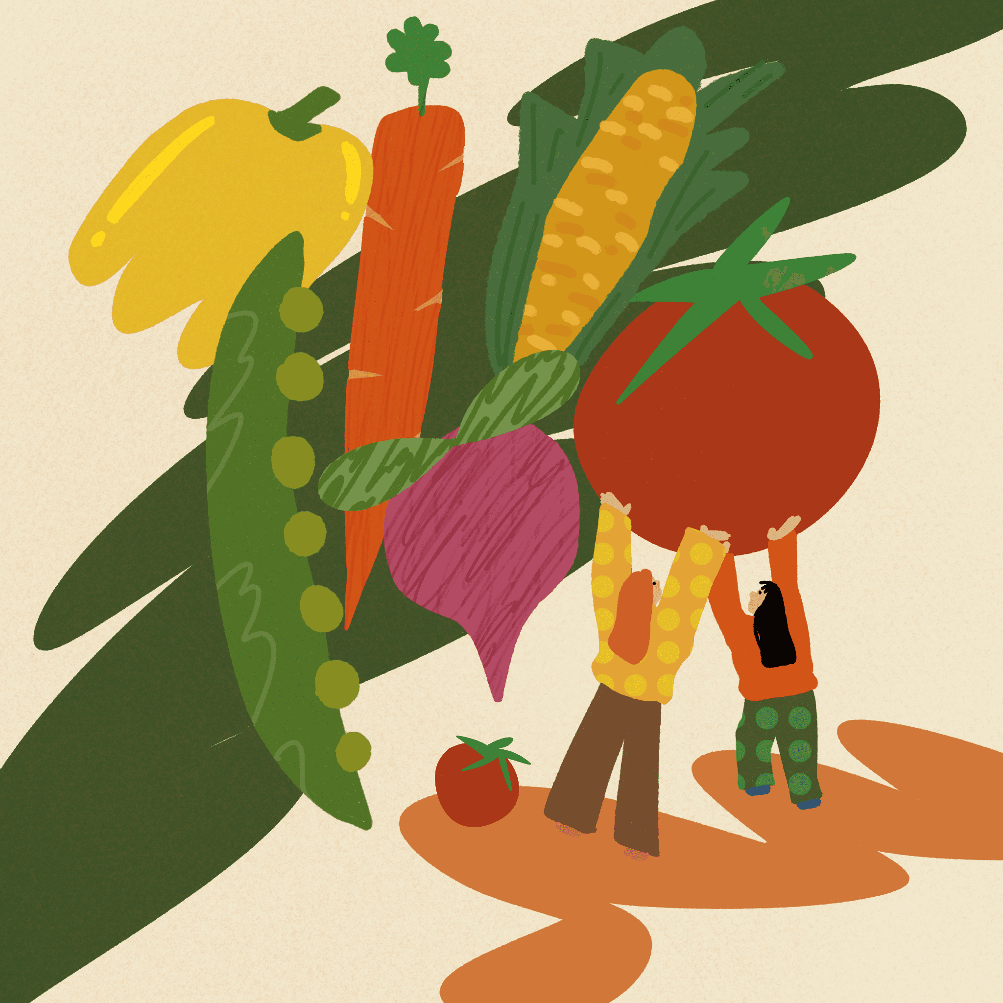 Portofolio image