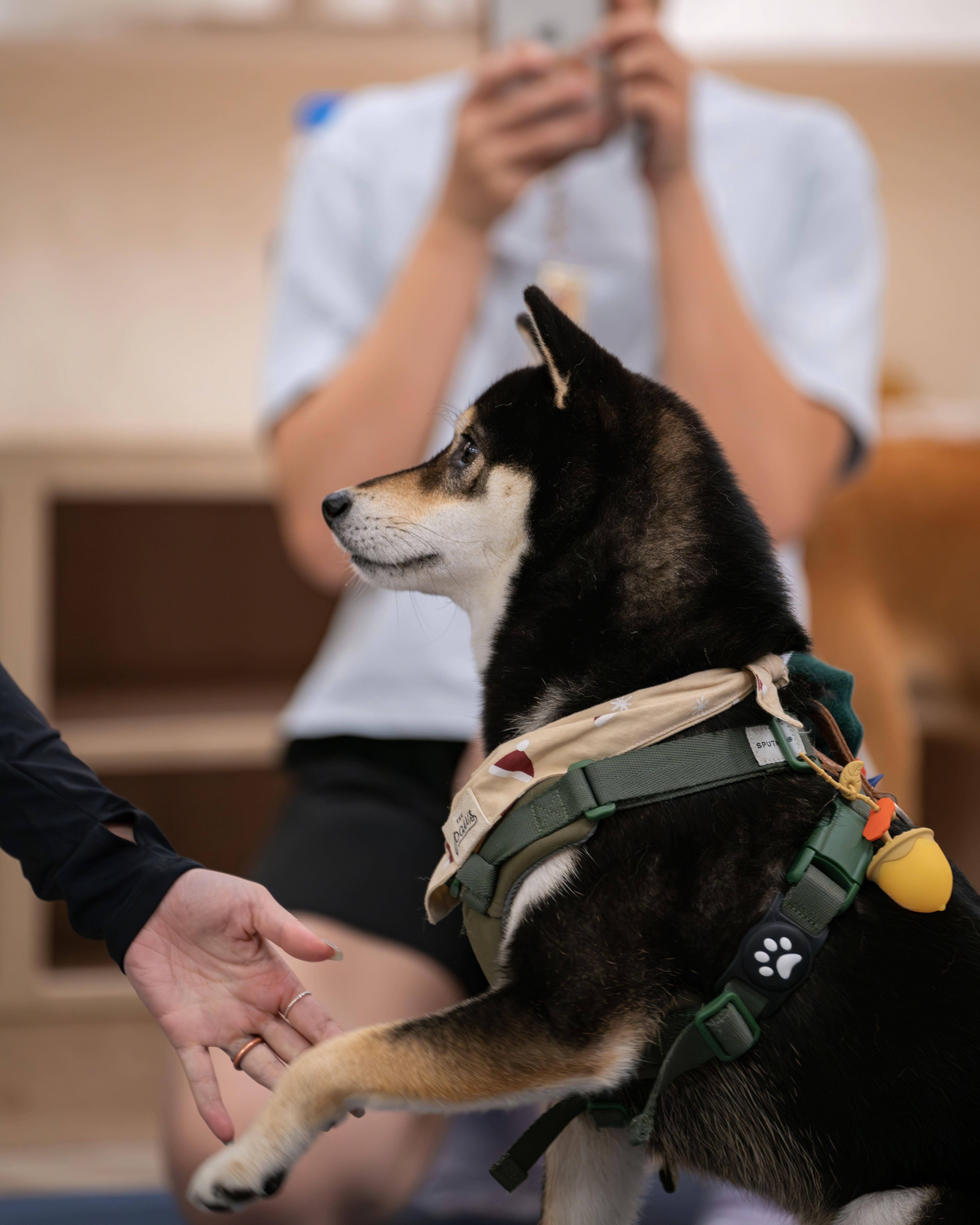 image of a chubby lady doing squats