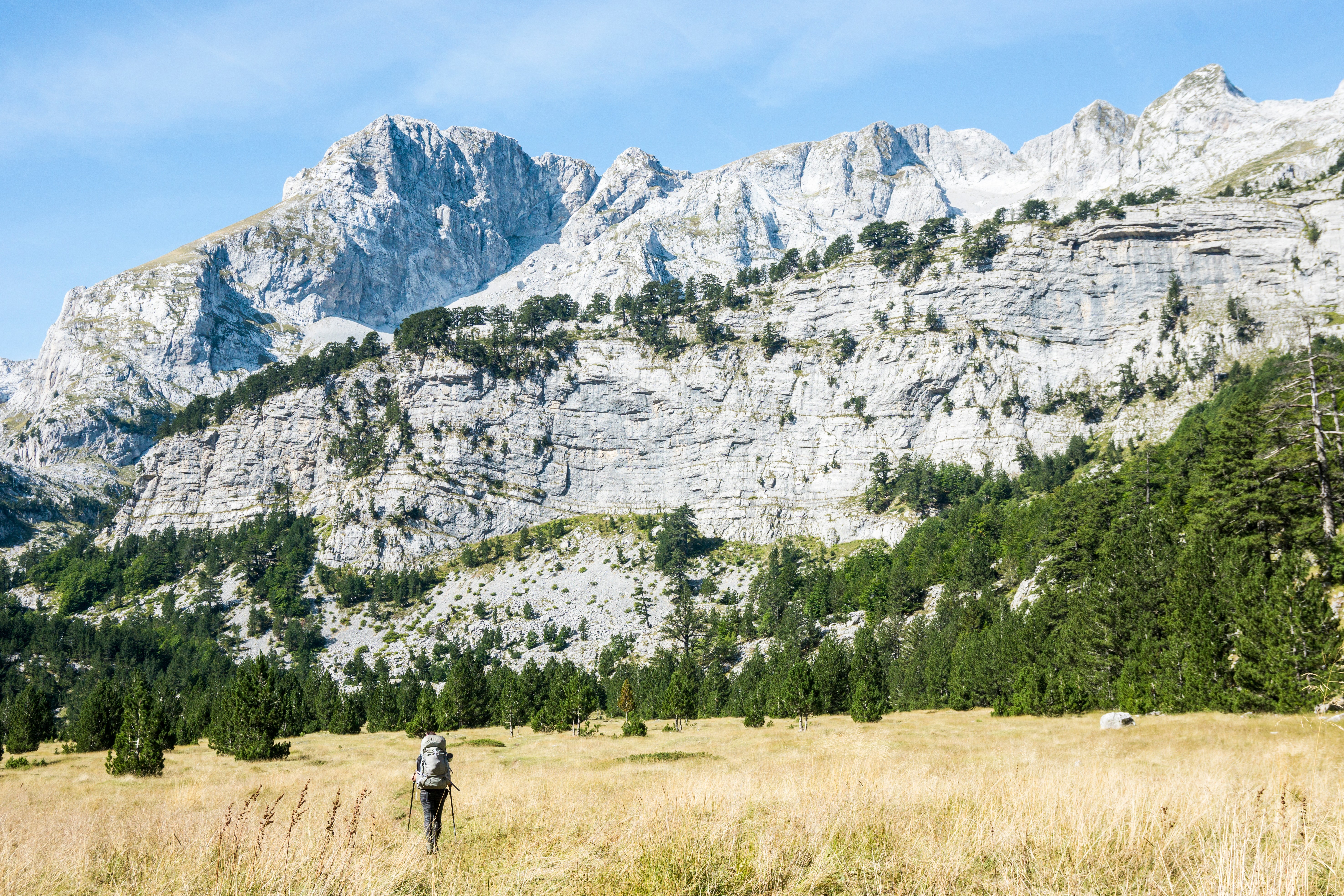 A lone hiker walks through a golden meadow toward steep gray mountains lined with pine trees.