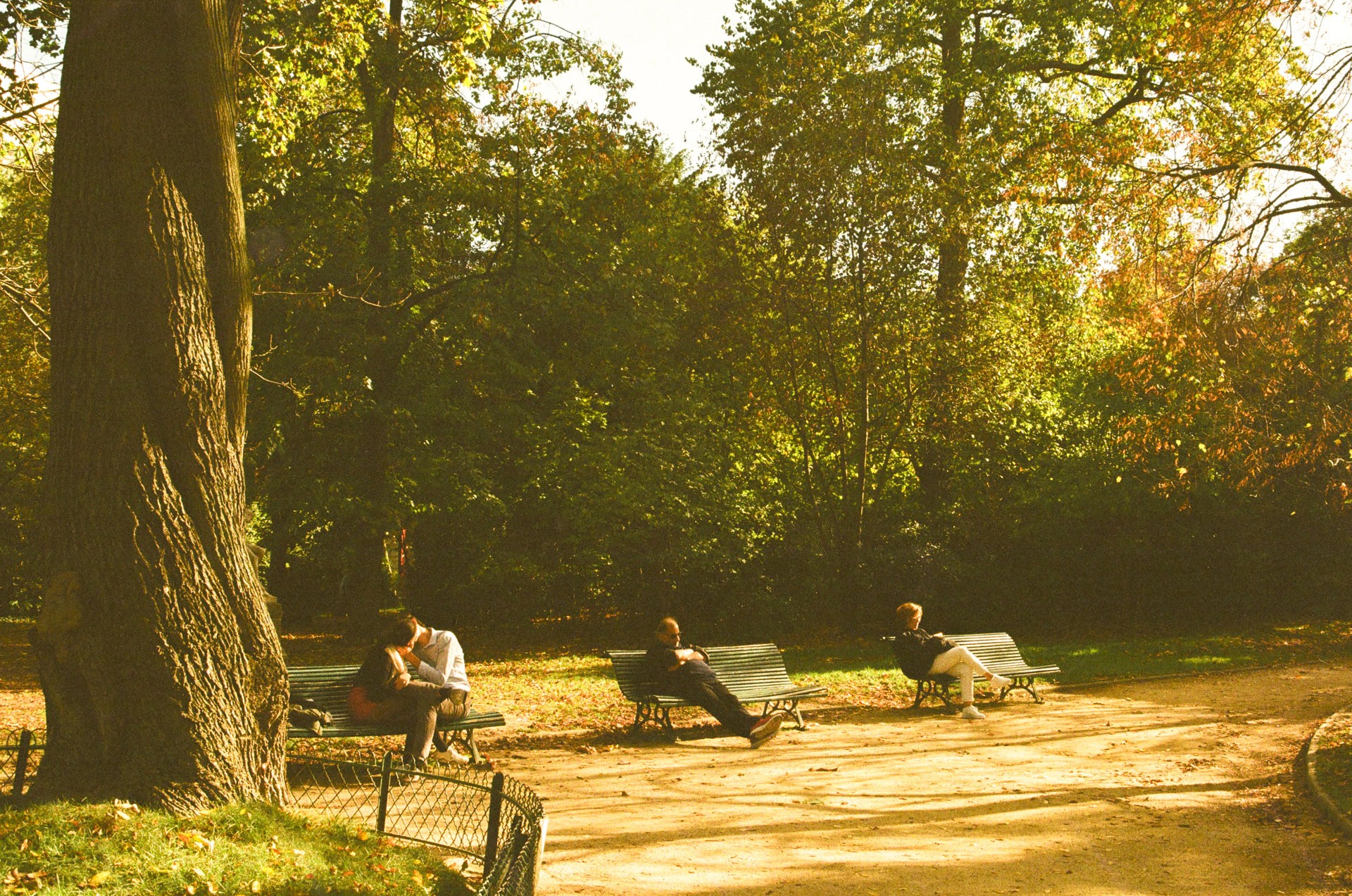 a couple kissing with 2 other people sitting in other 2 park benches