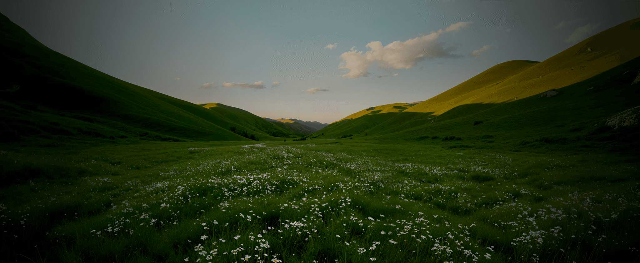 Scenic view of a lush green valley with rolling hills, covered in wildflowers under a soft sunset sky, offering a peaceful countryside landscape.