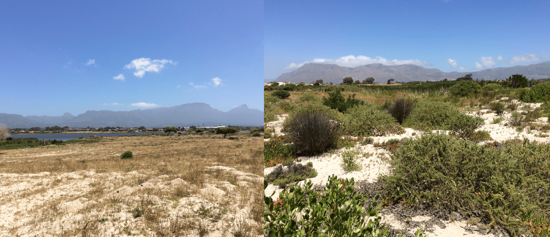 Princess Vlei before and after