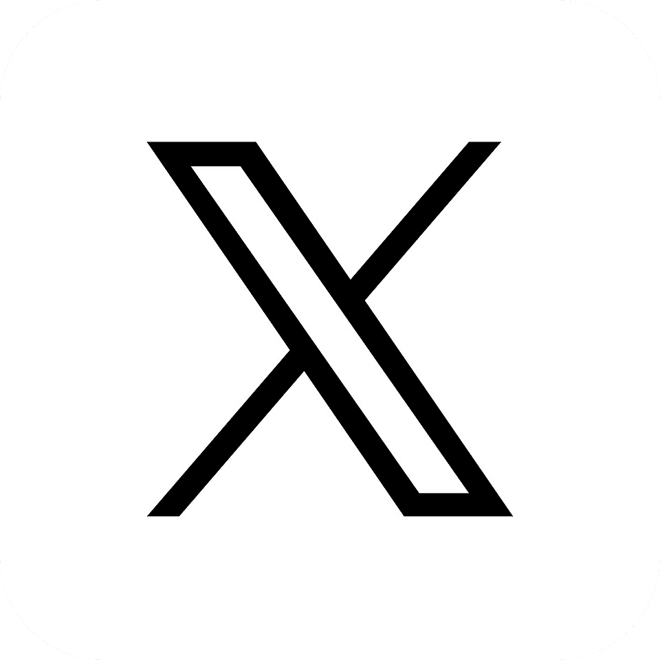 x twitter api