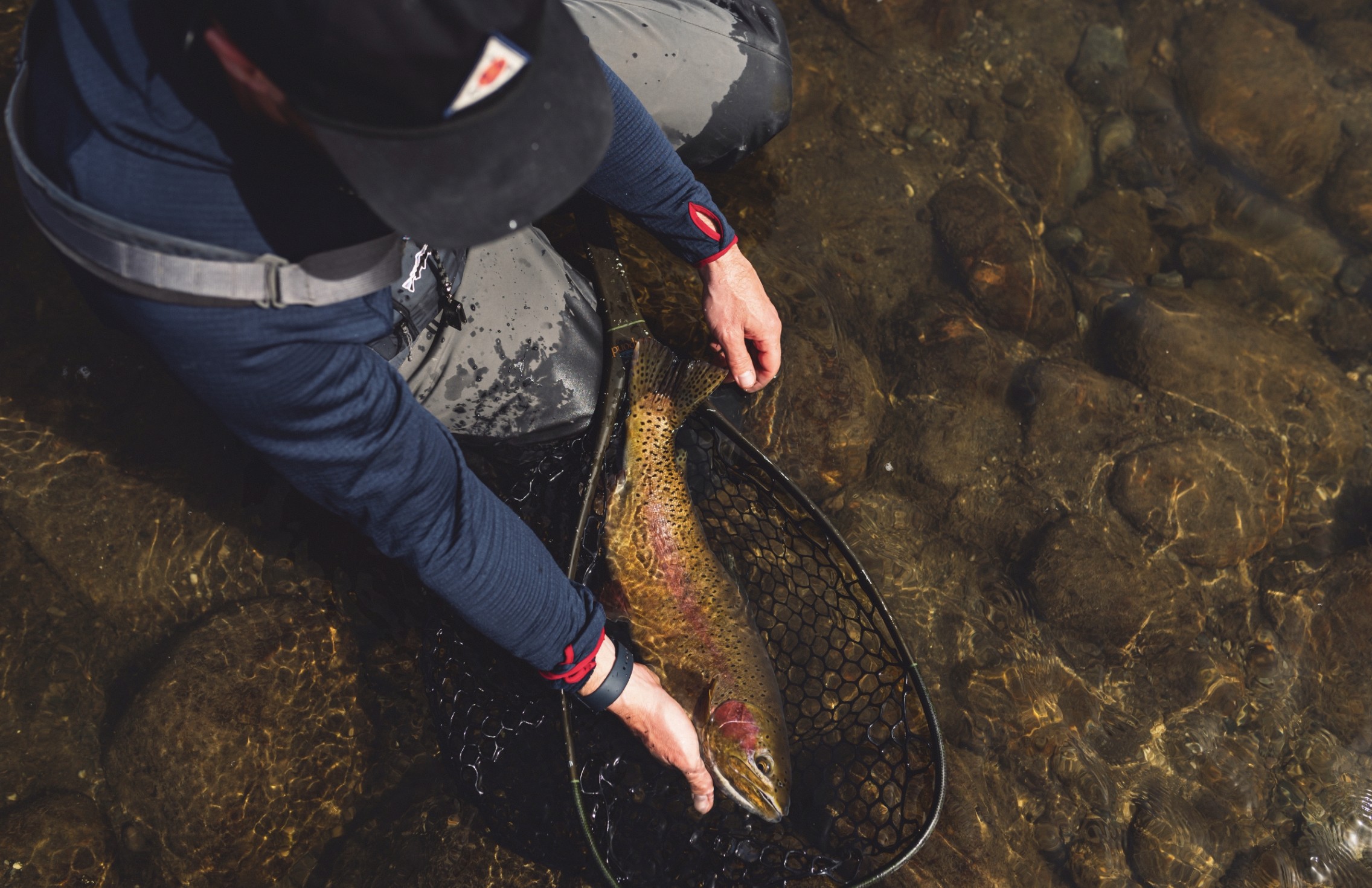 man holding trout in a river with black hat ad blue shirt clear water taylor fly fishing