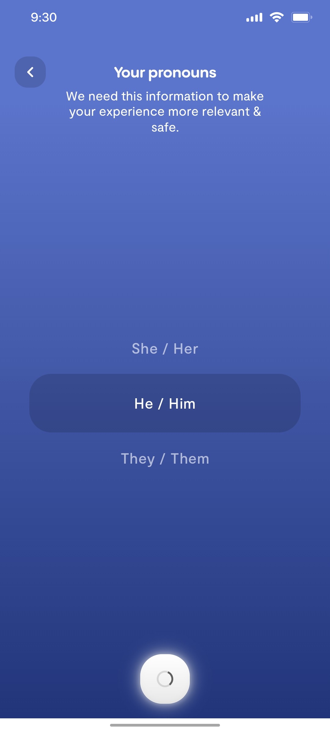Replika Select Your Gender Loading screen
