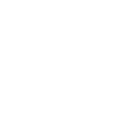 Behance icon