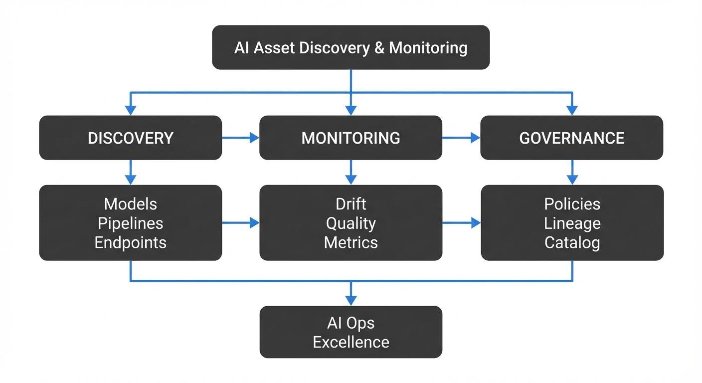 AI Discovery and Monitoring Lifecycle