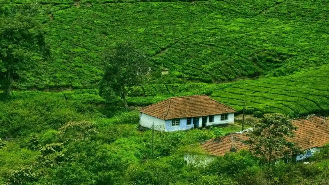 Thekkady and Kumily