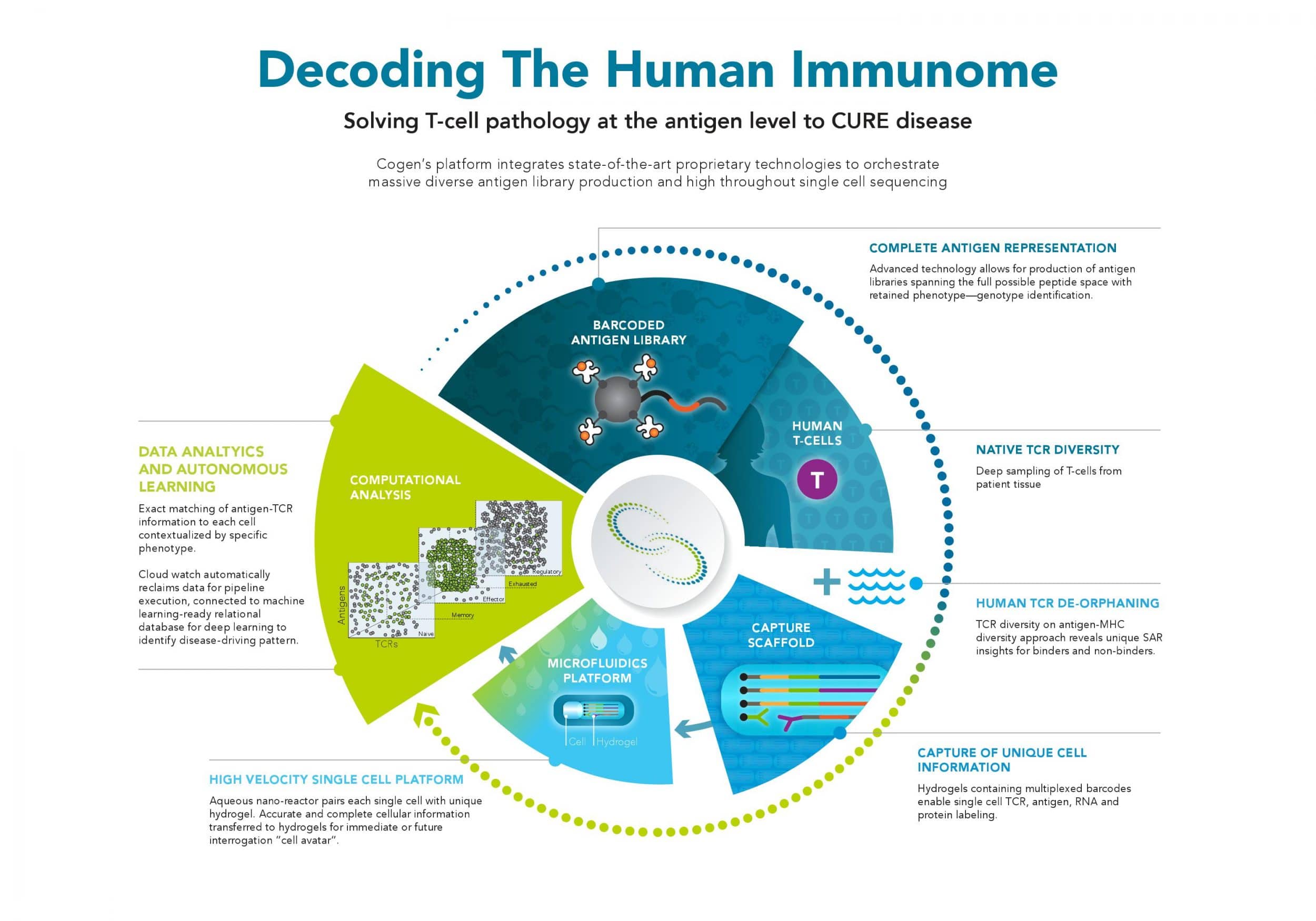 Cogen ImmuneMedicines