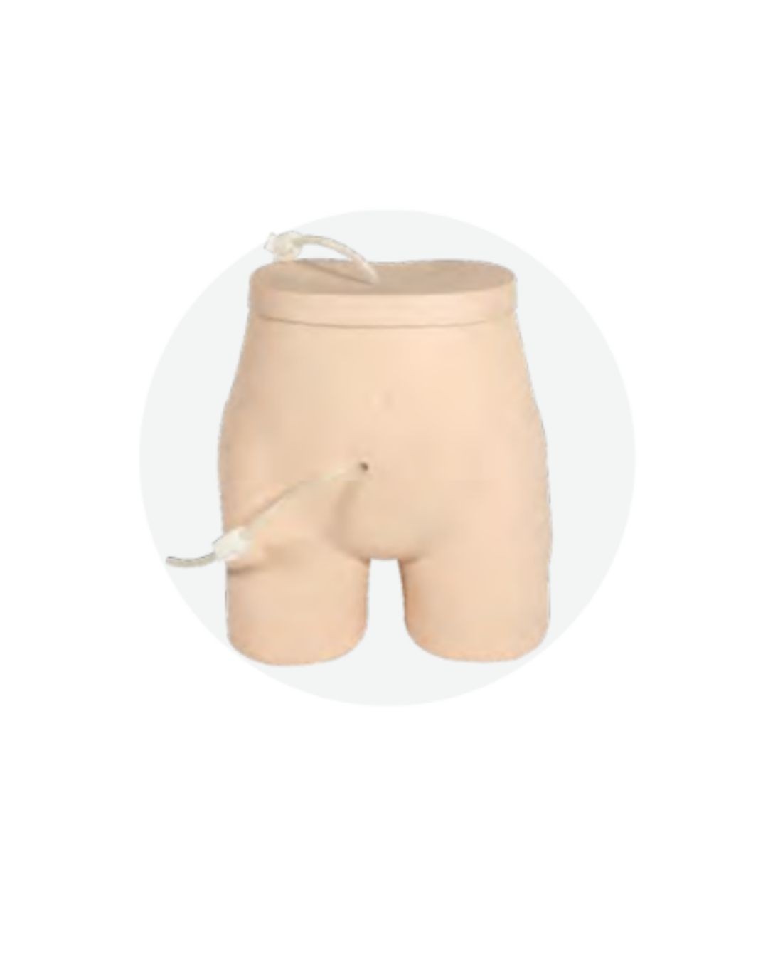 Peritoneal Dialysis Model