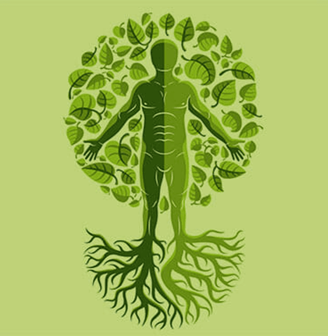 Holistic thinking, autonomous action