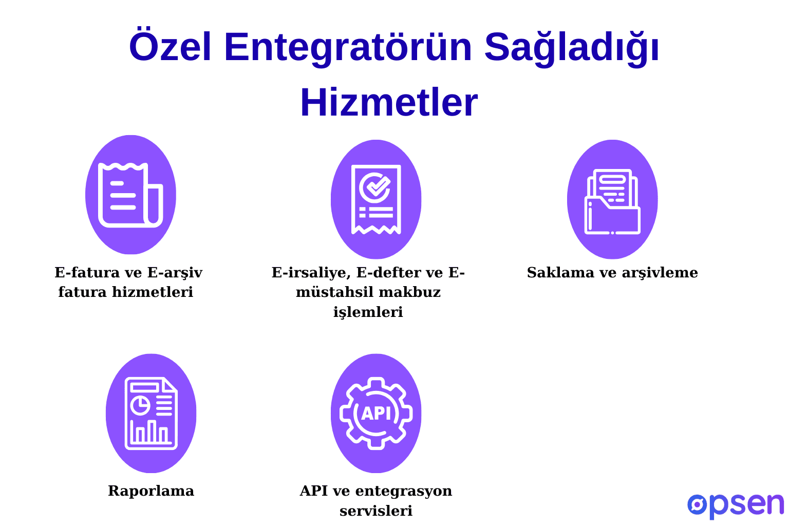 Özel Entegratörün Sağladığı Hizmetler