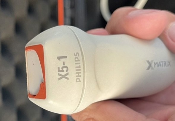 Sonda sectorial con daño en membrana