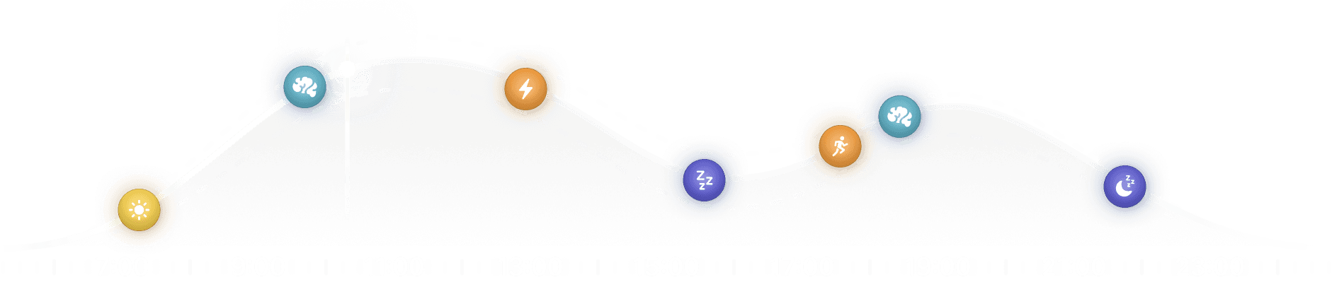 An image of the circadian rhythm that rises in the morning, falls in the afternoon and rises in the evening again