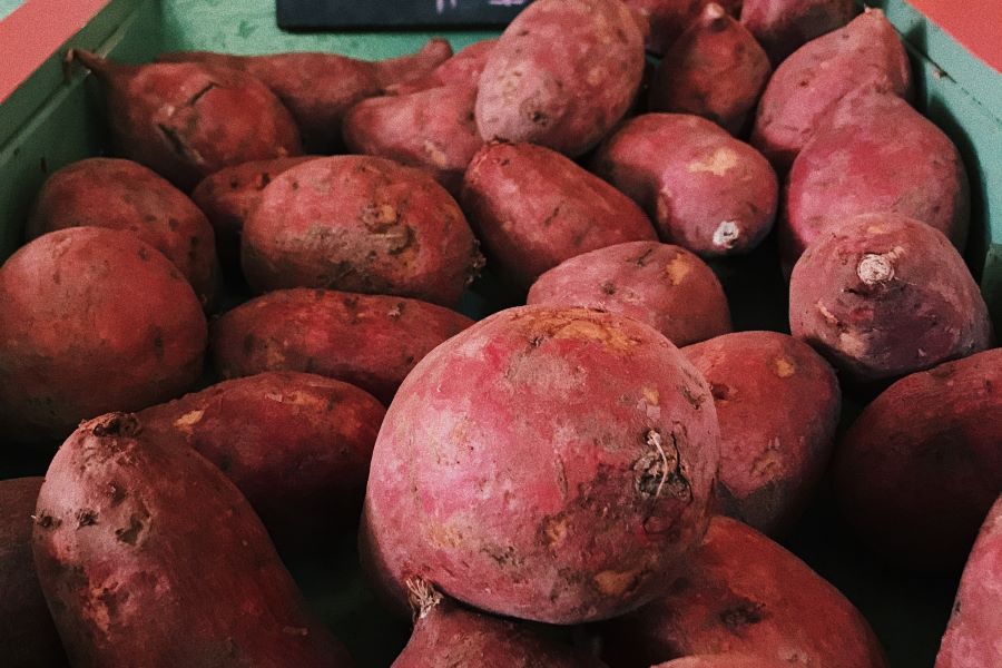 Patate dolci