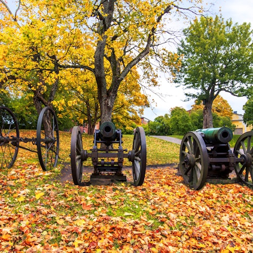 Three old cannons on wheels are displayed on a grassy area covered with autumn leaves, with colorful trees in the background.