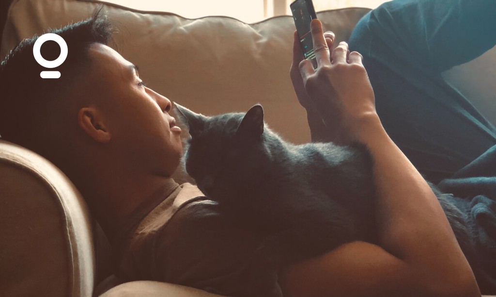 airbnb-pet-fee-everything-you-need-to-know-hospitable